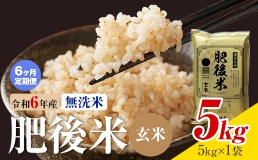 【6ヶ月定期便】熊本県産 肥後米 無洗米 玄米 5kg 1袋5kg 米 お米 令和6年産 九州産 熊本県産 送料無料《お申込み翌月に出荷予定》玄米 無洗米 米