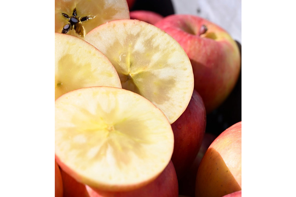 【25年11月出荷】りんご 權之丞 葉とらずりんご 高徳 （こうとく） 家庭用 約5kg【弘前市産・青森りんご】