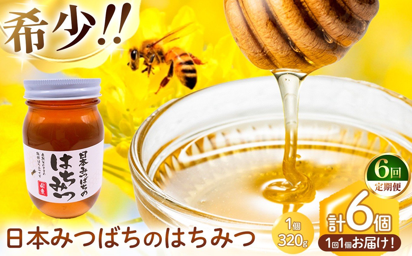 
            【 定期便 6回 】和水町産 日本蜜蜂のはちみつ｢希少品｣ 320g | 熊本県 熊本 くまもと 和水町 なごみまち なごみ ハチミツ ハチミツ 蜂蜜 日本蜜蜂 国産 320g 瓶
          