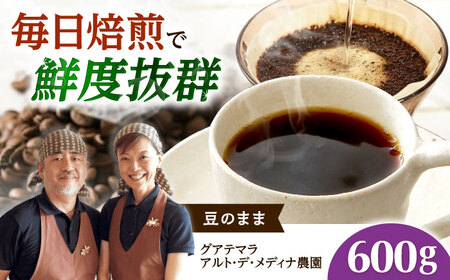 グアテマラ アルト・デ・メディナ農園  600g 豆のまま[AOEL091]