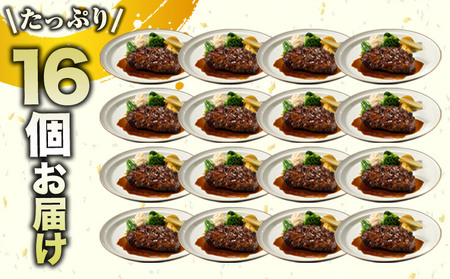 馬肉ハンバーグ 16個セット 130g×16個 《60日以内に出荷予定(土日祝除く)》 熊本県 津奈木町 ハンバーグ 馬肉ハンバーグ 馬肉 個包装 真空パック 人気 送料無料 専門店 冷凍惣菜 冷凍 