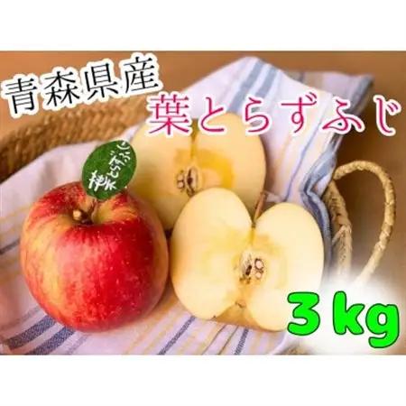 (2026年産予約)当園人気第1位!!【青森市産・完熟葉とらずふじ】約3kg　8～12玉　(家庭用)【1181968】