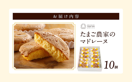 ココテラスのたまご農家のマドレーヌ（10個） 洋菓子 デイリーファーム デザート スイーツ 人気 たまごとバター こだわりスイーツ ティータイム おやつ お菓子 アフターヌーンティー ギフト 人気 焼
