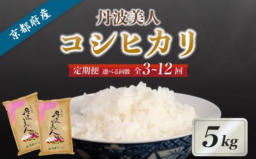 
            《選べるお届け回数》【定期便】京都府産 コシヒカリ「丹波美人」白米5kg 令和7年度産 （ 3回 / 6回 / 12回 ）【 お米 米 白米 精米 こしひかり 国産 選べる 定期便 毎月発送 京都 綾部 】
          