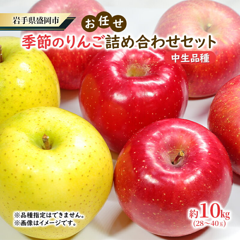 【ふるさと納税】【大櫻農園】盛岡 りんご 中生 「お任せ 季節のりんご詰め合わせ」約10kg（28～40玉）　お届け：2025年10月中旬～2025年11月中旬