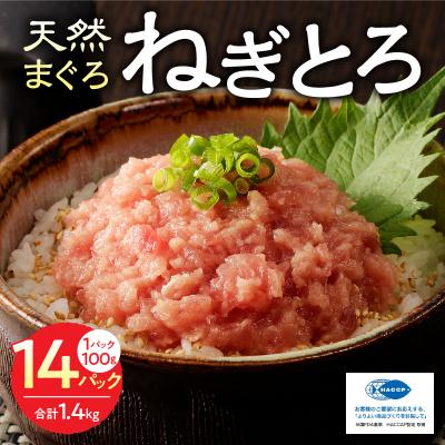 ふるさと納税 焼津市 焼津の天然まぐろたたき 鉢100%ねぎとろ F7(a12-169) |  | 01