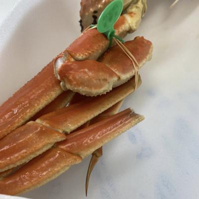 ふるさと納税 宮津市 松葉ガニ　茹で　タグ付き　1.2kg up |  | 01