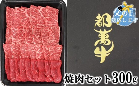 【父の日ギフト】都萬牛　焼肉盛り合せ300g　国産牛肉＜1-35＞