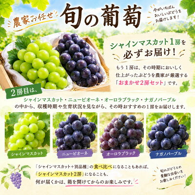 【ふるさと納税】【贈答用】岡山県産葡萄詰め合わせ　計1.0kg(2房)【配送不可地域：離島】【1779451】