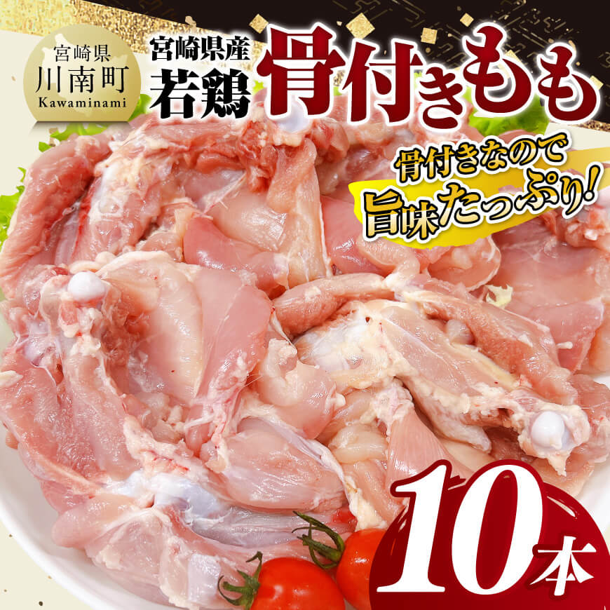 宮崎県産 若鶏 骨付き もも 10本　鶏肉 鶏 肉 [D11617]
