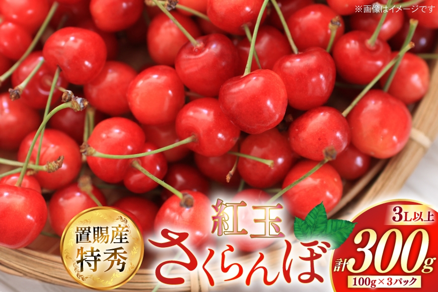 
                  【期間限定発送】 さくらんぼ 置賜産 紅王 特秀 3L 以上 100g 3p 計300g [JA山形おきたま 山形県 高畠町 tk06ays870054] サクランボ チェリー 山形 果物 フルーツ くだもの
                