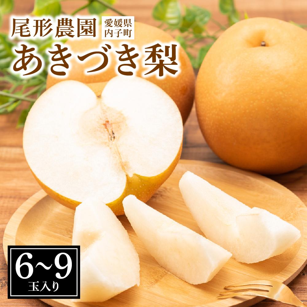 【ふるさと納税】尾形農園のあきづき梨（2）【6～9玉入り】 | フルーツ 果物 くだもの 食品 人気 おすすめ 送料無料