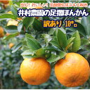 【ふるさと納税】 先行予約＜訳あり＞井村農園の足摺ぽんかん（10kg）デコポンの親 みかん 柑橘 果物 果実 ミカン ポンカン フルーツ おやつ デザート 10キロ 美味しい 国産 送料無料 高知 高知県 ギフト ふるさとのうぜい 故郷納税 返礼品【R01134】