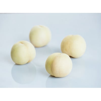 岡山白桃4玉・黄桃セット2玉 食べ比べセット