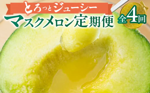 【定期便】先行予約 マスクメロン 4回お届け  伊良湖産 2玉 2026年6月スタート  マルカ農園