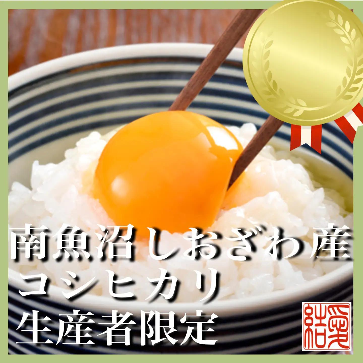【令和7年】【定期便／20kg×12ヶ月】生産者限定 契約栽培 南魚沼しおざわ産コシヒカリ｜こしひかり