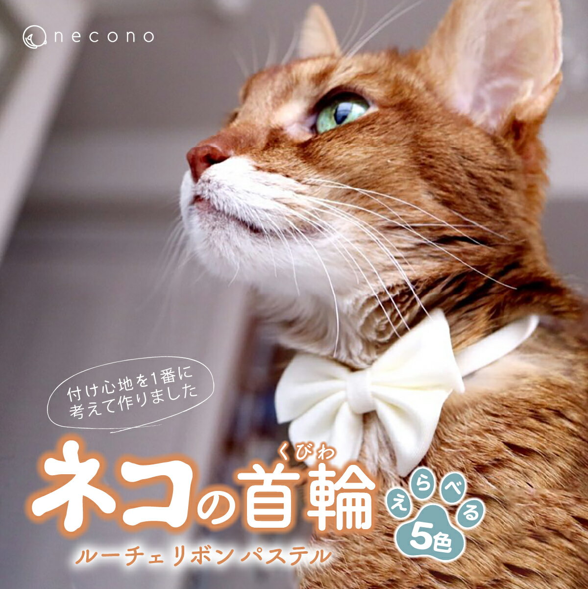 【ふるさと納税】選べるカラー necono Luce Ribbon ルーチェ リボンパステル 猫の首輪 カラー選択 5色展開 | 埼玉県 上尾市 首輪 猫の首輪 猫用首輪 ペット用品 ペットグッズ ペット用ベッド おしゃれ かわいい 猫用品 かわいい 猫 ネコ ねこ