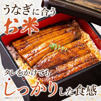 ふるさと納税 西尾市 特別栽培米西尾産コシヒカリ《ぬくもり》【2kg/袋×1袋】・D023-9 |  | 02