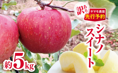 *【2025年先行予約】訳あり シナノスイート約5kg | ヤマモ農園 果物 フルーツ 果実 りんご 林檎 リンゴ シナノスイート 長野県 松川村 信州