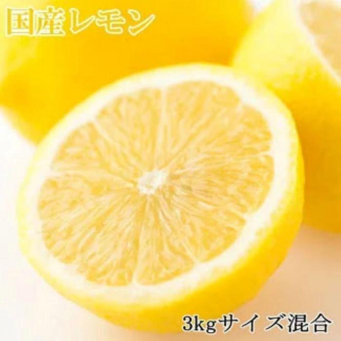 【ふるさと納税】【産直】和歌山産レモン約3kg（サイズ混合）★2026年3月中旬頃より順次発送【TM150】 | フルーツ 果物 くだもの 食品 人気 おすすめ 送料無料