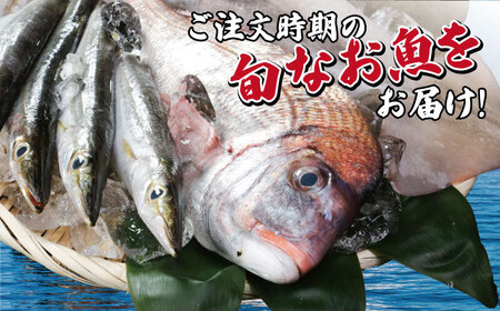 鮮魚ボックス おためしBOX ２kg 鮮魚セット 鮮魚 魚介 魚 刺身 刺し身 千葉県 銚子市 ふるさと納税 丸忠水産