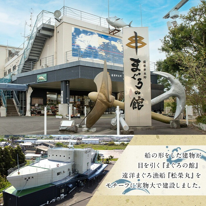 まぐろ唐辛丼の素(120g×8P) 魚 魚介 海鮮 まぐろ 鮪 マグロ 赤身 刺身 漬け 漬け丼 海鮮丼 冷凍 小分け 真空 簡単調理 時短【まぐろの館】【A-1839H】