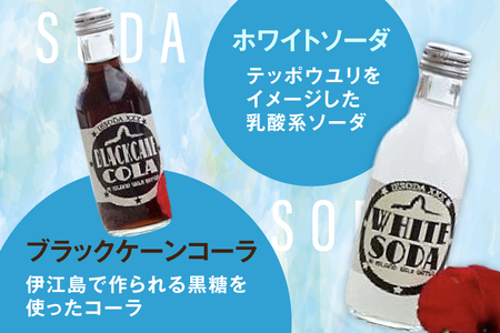 ソーダ 告白飲料 イエソーダ 24本セット [伊江島物産センター 沖縄県 伊江村 ie47bde210012] 炭酸 シュワシュワ 清涼飲料 クラフトソーダ ジュース サイダー