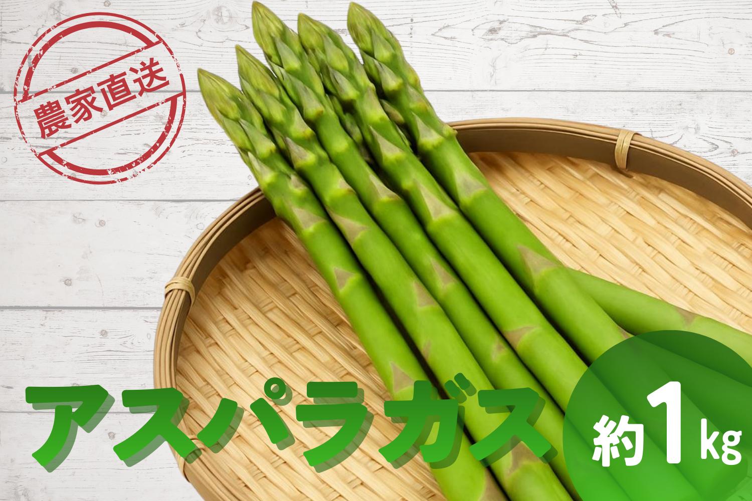 
                  【2026年4月～順次発送】極太！アスパラガス　約1kg　
                