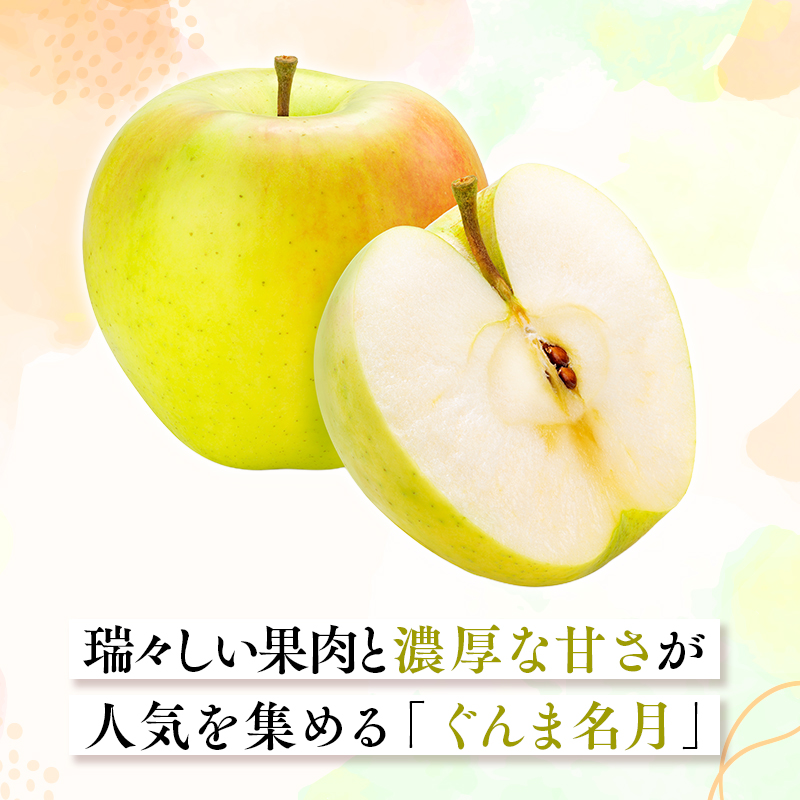 2026年11月～12月発送　【訳あり】家庭用ぐんま名月 約2kg【原田農園】