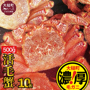 【令和9年発送】三陸産！活毛ガニ 500g×10杯【08】【2027年2月～4月発送】