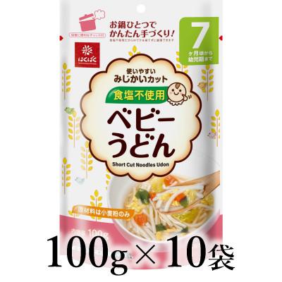 ふるさと納税 南アルプス市 はくばく　ベビーうどん　100g×10袋