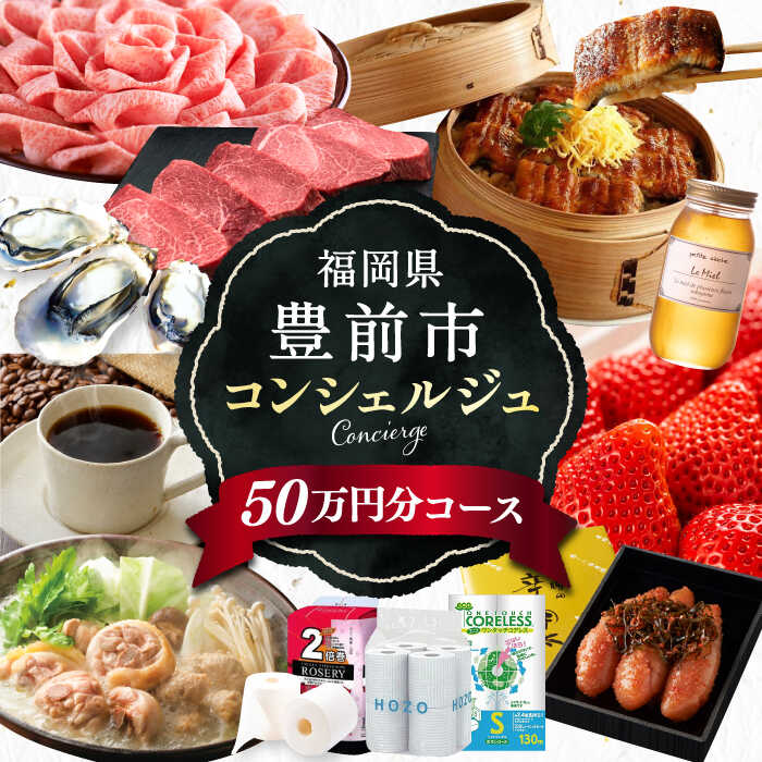 【ふるさと納税】【あなただけの特別プラン】豊前市 コンシェルジュ 寄附額 50万円 コース 《豊前市》【おまかせ定期便】[VZZ001] おすすめ おまかせ 定期便 500000 500000円
