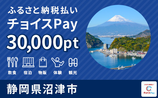 
沼津市チョイスPay 30,000pt（1pt＝1円）【会員限定のお礼の品】
