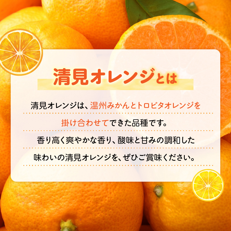 ZN6001n_和歌山県有田産 完熟 清見オレンジ 5kg ひとつひとつ丁寧に厳選！生産者から直送