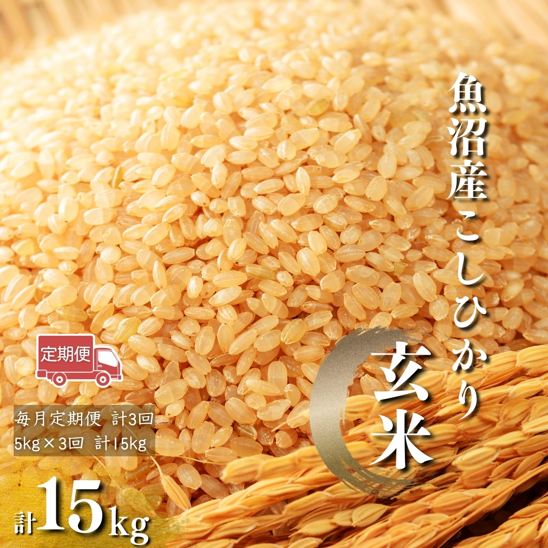【玄米 選別品】令和7年産 先行予約 魚沼産コシヒカリ 玄米 定期便5kg×3回 （毎月お届け）米太【0020-KT07DB00-01】
