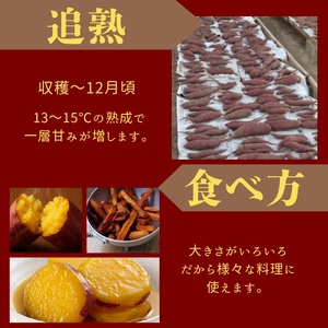 さつまいも 5kg サツマイモ 芋《訳あり》