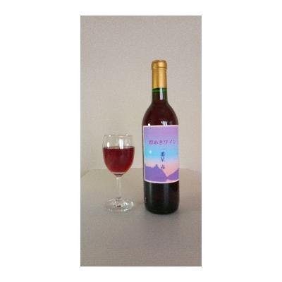 ふるさと納税 犬山市 煌めきワイン　一番星(赤)　1本