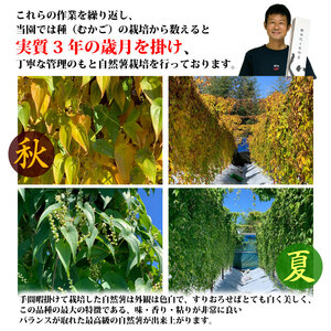 074-6　【R7年12月上旬からの発送】　丁子屋が選んだ 自然薯　台地のご馳走 500ｇ～550ｇ