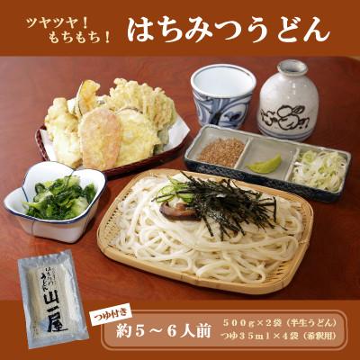 ふるさと納税 吉岡町 はちみつうどん500g×2袋 約5〜6人前(半生うどん)