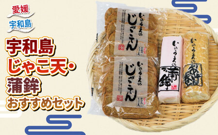 10営業日以内発送 練り物 手押し じゃこ天 蒲鉾 おすすめ セット 井上蒲鉾本舗 蒲鉾蒲鉾蒲鉾蒲鉾 C015-003003