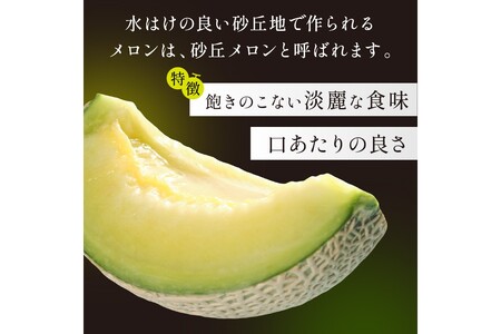 【先行予約／数量限定500】京丹後産 砂丘メロン 大玉2L以上 2玉（2024年7月下旬～発送）