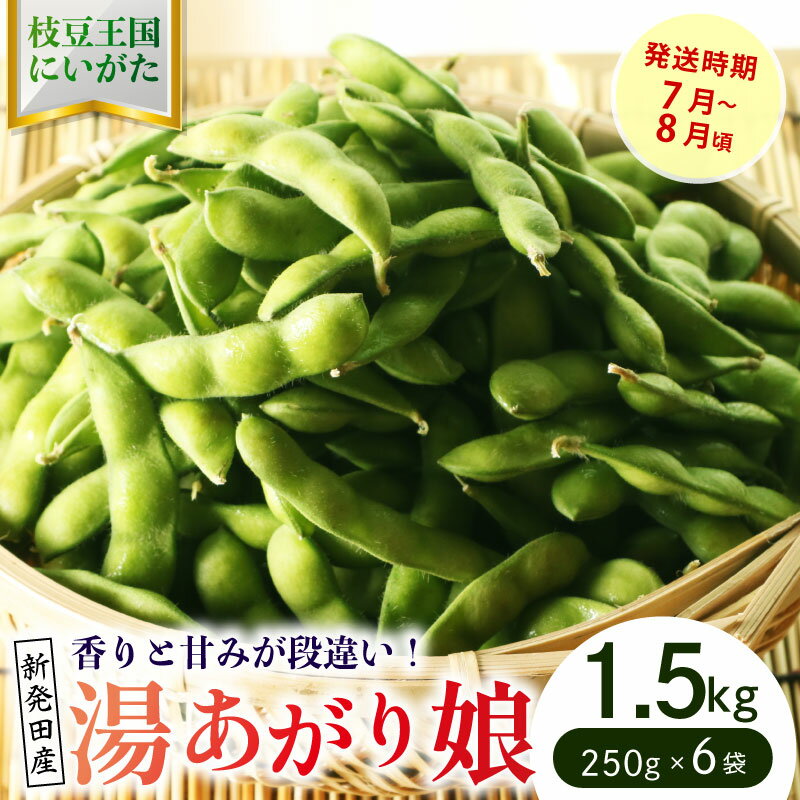 【ふるさと納税】 根強い人気の枝豆！ 湯あがり娘 1.5kg【 先行予約 予約 茶豆 枝豆 新潟産 湯あがり娘 1.5kg 数量限定 seida021 】