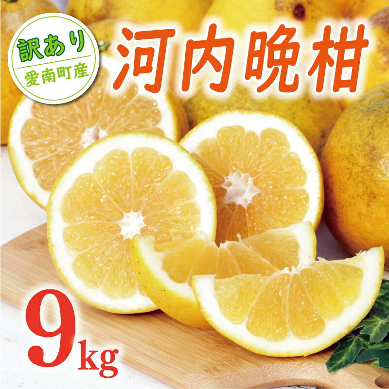 【ふるさと納税】 高評価 ★4.6 訳あり 河内晩柑 樹齢 20年以上 9kg Lサイズ 以上 9000円 みかん わけあり かわちばんかん 愛南ゴールド あいなん ゴールド 美生柑 国産 特産品 農家直送 期間限定 ジュース フルーツ 果物 柑橘 くらもとファーム 愛南町 愛媛県