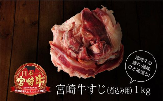 ＜宮崎牛＞牛すじ（煮込み用） 合計1kg（500g×2パック）※90日内に出荷【B227】