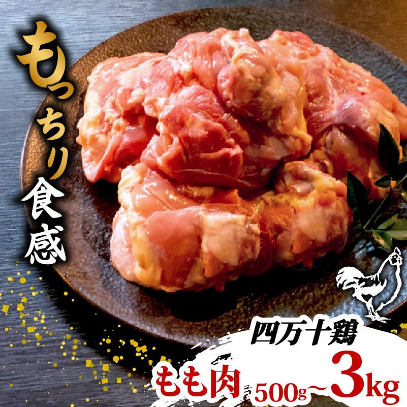 【ふるさと納税】 銘柄鶏 四万十鶏 もも肉 500g | 切身 カットでかんたん時短セット カット済み 鳥肉 とりにく 鶏もも 冷凍 国産 ブランド 唐揚げ 煮物 鍋 チキン 南蛮 高知県 須崎市 ふるさと納税鶏肉