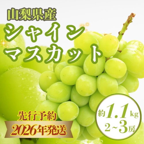 【冷蔵便】【2026年先行予約】山梨県産　シャインマスカット 約1.1kg (２房～3房) | 山梨　都留市　フルーツ　高級　ぶどう　シャイン　シャインマスカット　高級フルーツ　高級ぶどう　おやつ　デザート　贈り物