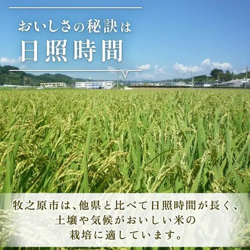 新米 5kg 令和8年度産 にじのきらめき 9月下旬発送 訳あり 袋おまかせ 富士勝茶業協同組合