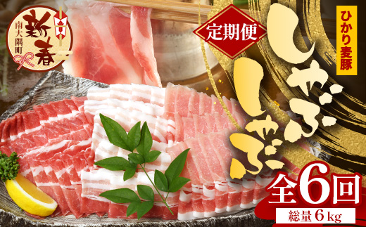 ［新春］【定期便全6回】鹿児島県産 ひかり麦豚 しゃぶしゃぶ 食べ比べセット 約1kg（200g×5パック） トレーなし 冷凍 HM-15 | 肉 お肉 にく 豚肉 ロース 肩ロース バラ肉 スライス