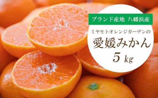 
            ＜2025年11月より順次発送＞西宇和地区八幡浜産 愛媛みかん 5kg＜D25-21＞_みかん 蜜柑 ミカン 柑橘類 柑橘 フルーツ 果物 くだもの 人気 美味しい 愛媛県 八幡浜市 ふるさと【1044410】
          