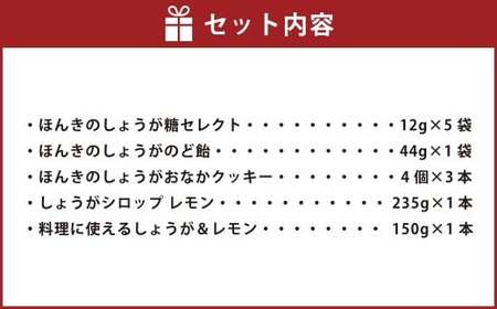 【ギフトBOX】ほんきのしょうがセレクト セット